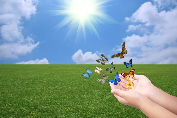 Releasing butterflies on the grassland