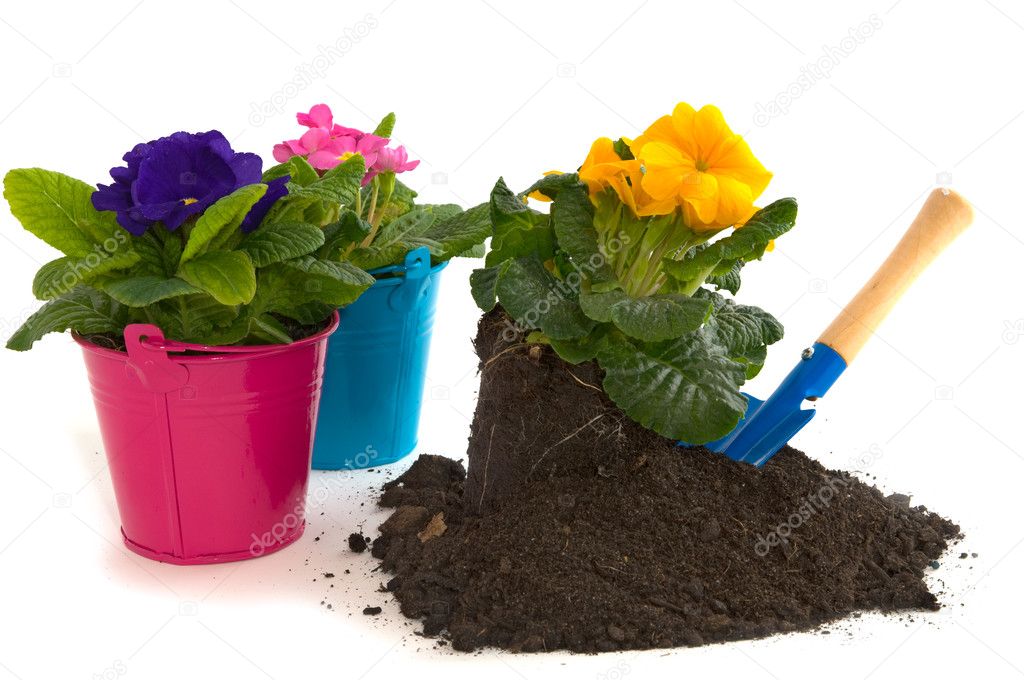 与植物和花卉园艺 图库图片