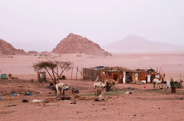 Mountains In Egypt