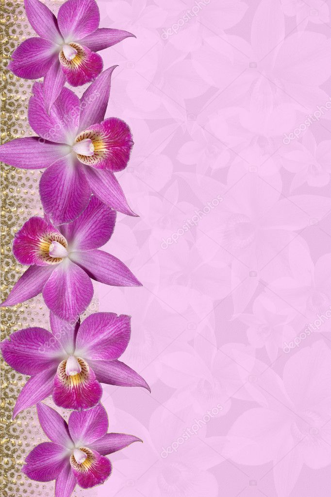 Lavender Orchids Border golden srtipes for background floral border 