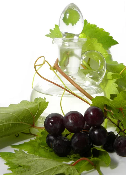 Wine carafe and young grape branch