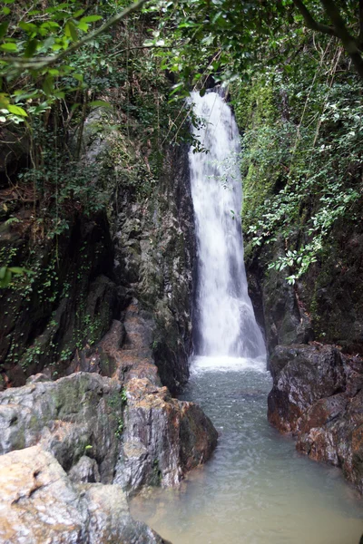 Waterfalls in rainforest. Phuket. Thailand — Stock Photo #4068540