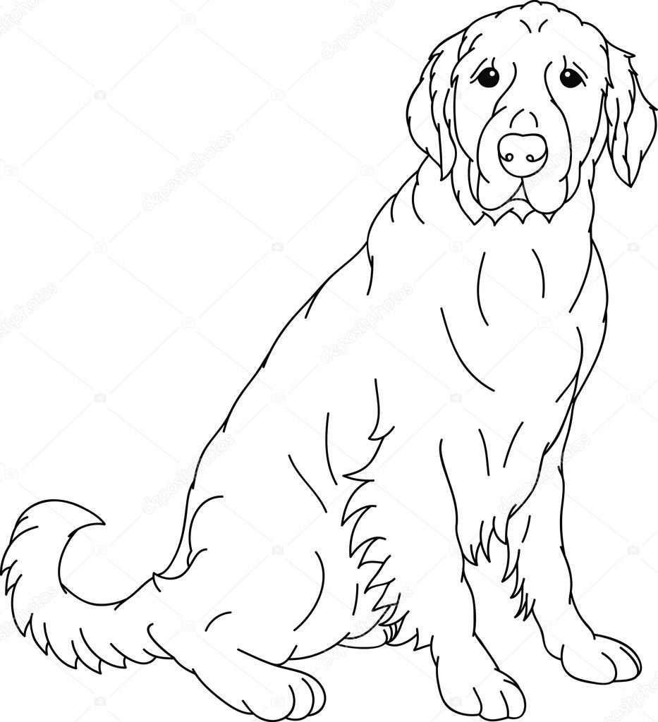 yellow lab dog coloring pages - photo #50