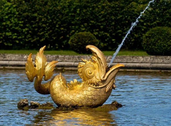 golden peterhof fountain dolphin