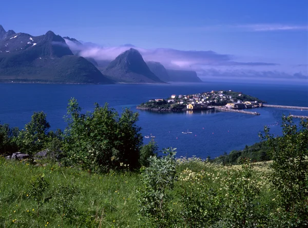 View of ocean fjord with small island