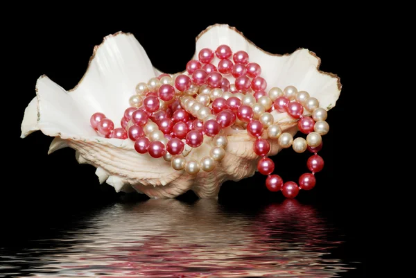 Pearl necklaces in a sea shell with water reflection