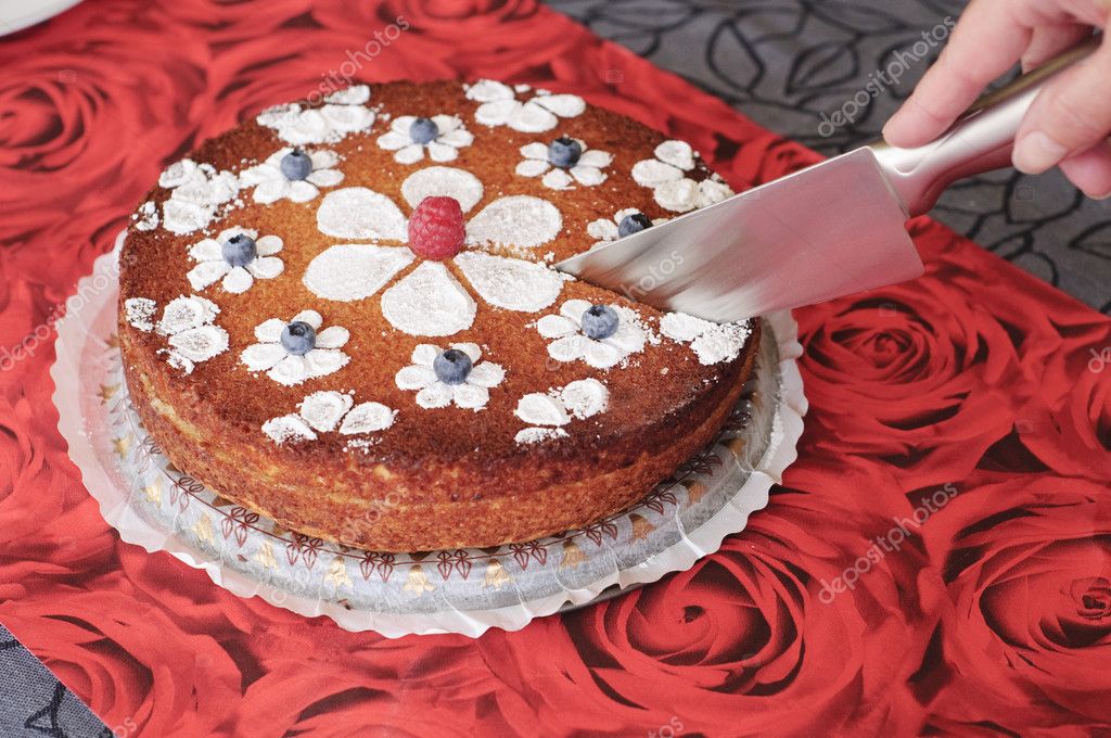 Cake Cutting Knife