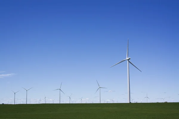 Field of Power Generating Windmills