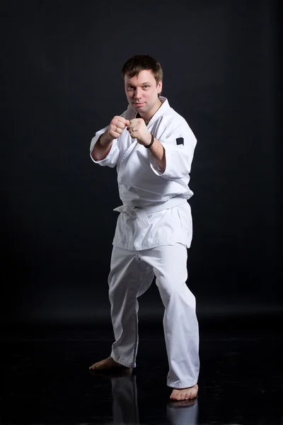 Man in martial arts pose