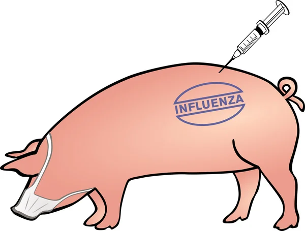 Swine influenza fore-handedness