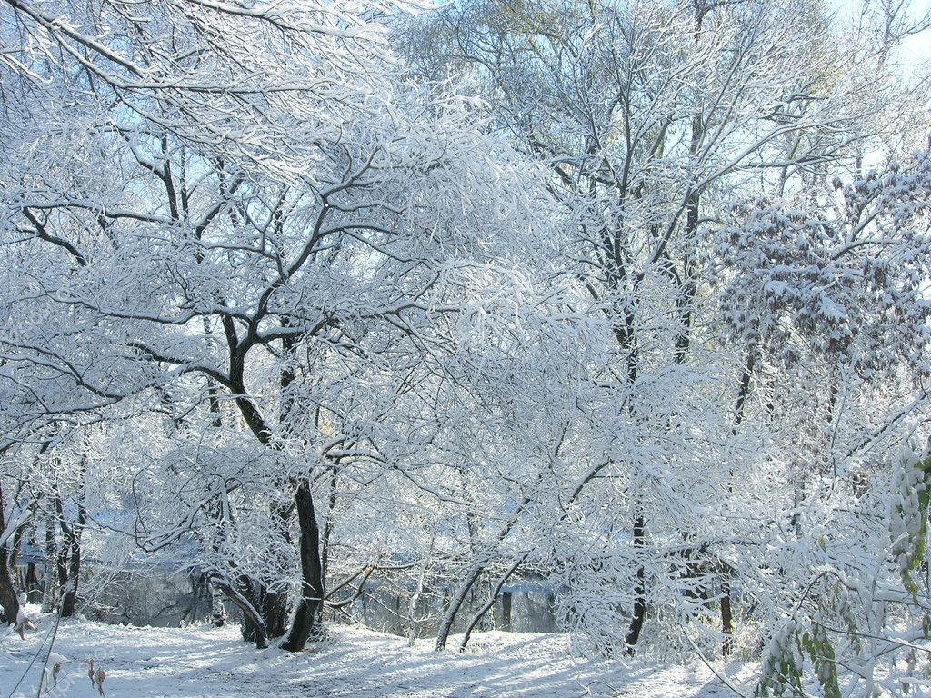 Frosty Day In Winter. — Stock Photo © Wikki33 #2692813