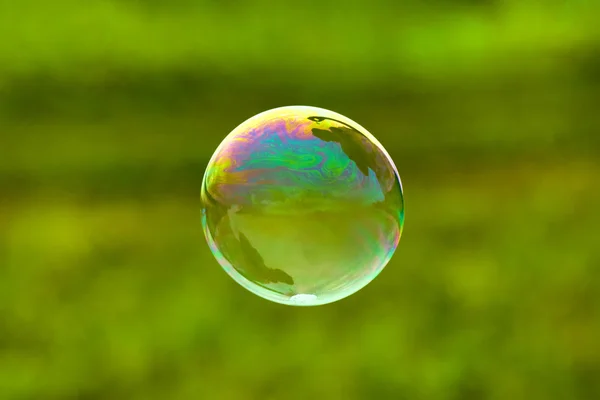 Soap bubble on green background