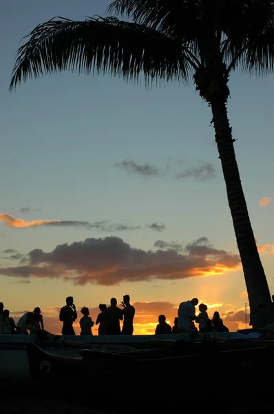 Vacation Image of Young at a Sunset Beach Party