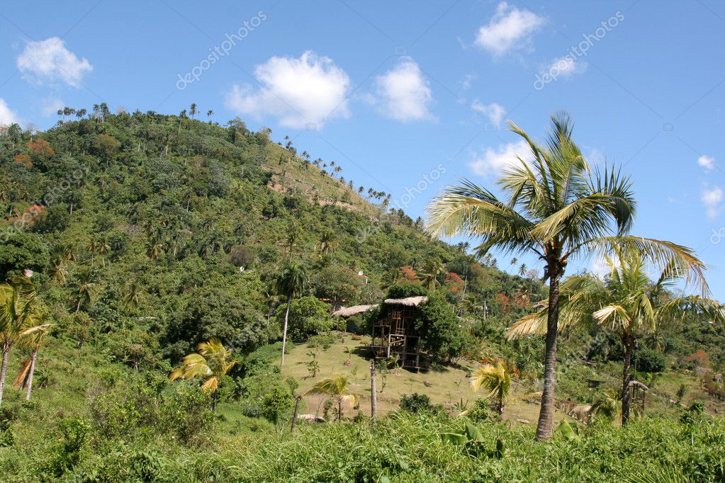 dominican hill