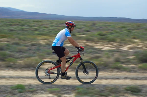 Mountain biker on old road in desert