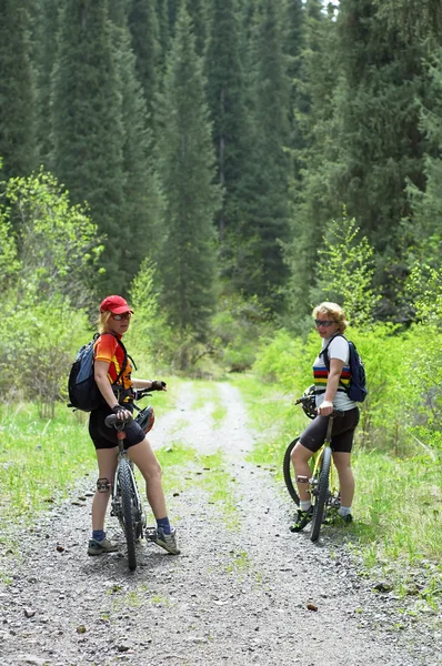 Two womens on mountain bikes in forest