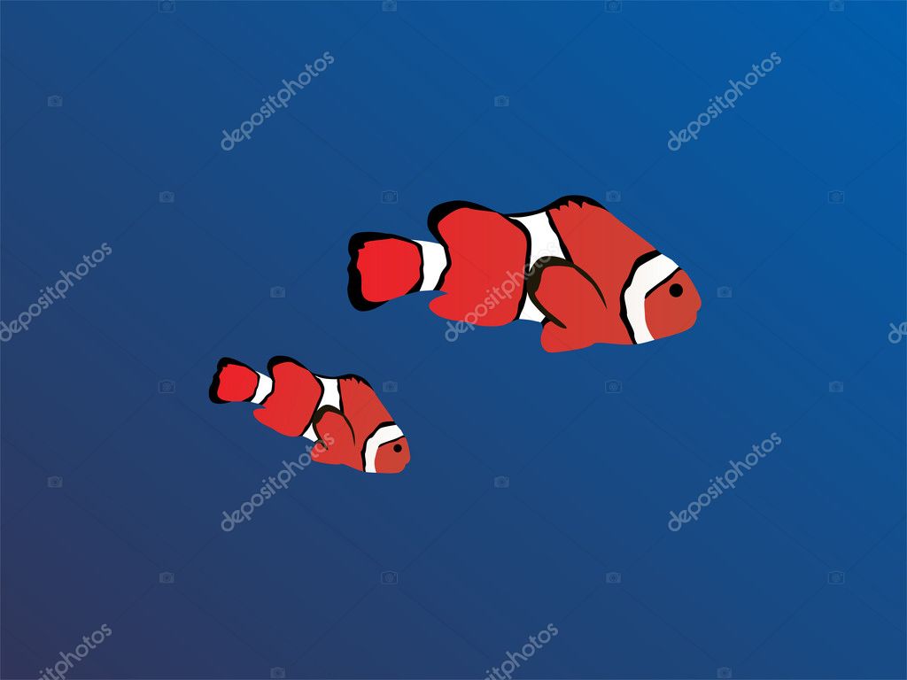 Blue Clown Fish