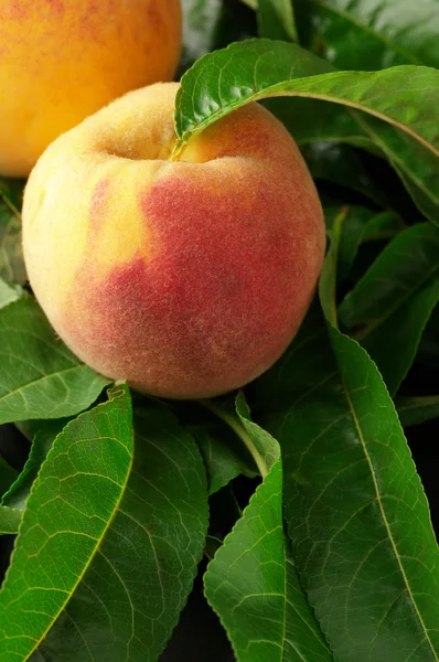 Peaches on leaves