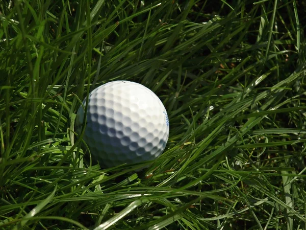 golf ball vector. Stock Photo: Golf ball