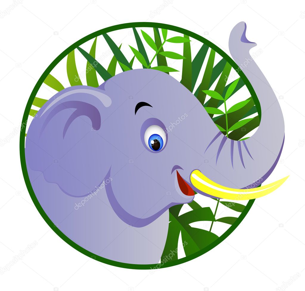 cute elephant pictures
