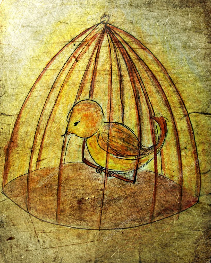 Illustrated Bird Cage