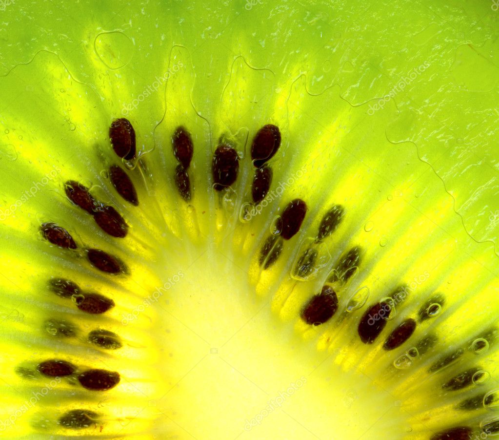 abstract kiwi