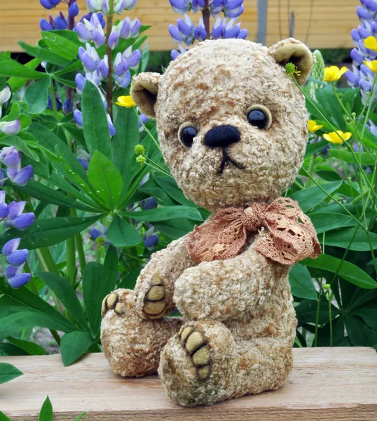 teddy bear misha — Stock Photo #3511083