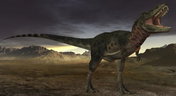 Tarbosaurus bataar 3d 恐龙 - 图库照片Digitals