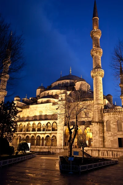Blue Mosque at Night in Istanbul Turkey