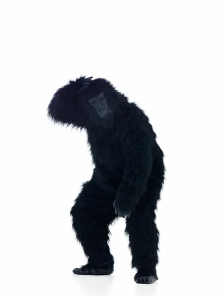 Ape Standing