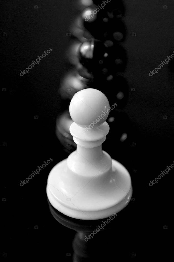 Chess White