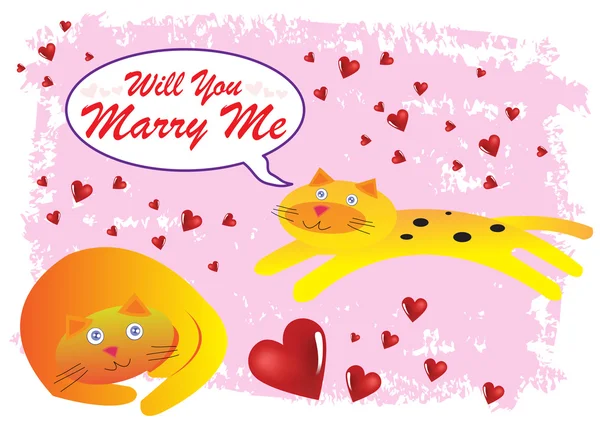Cat Will You Marry Me