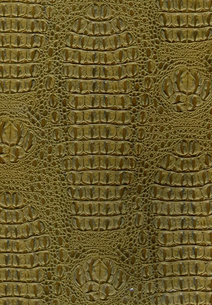 Reptile Skin Texture Background