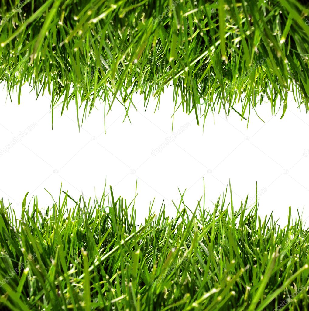 Grass Border