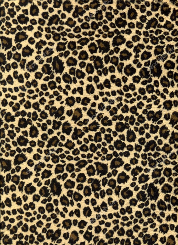 Pin by Estelita Pe on ANIMAL PRINT | Animal print wallpaper, Leopard