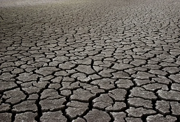 http://static4.depositphotos.com/1011434/405/i/450/dep_4059974-Dry-Mud-Field.jpg