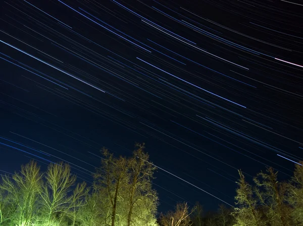 Star trails over winter forest