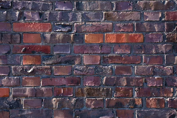 A dark red brick wall in the sunlight