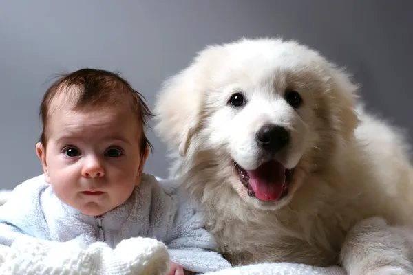 Baby And Puppy