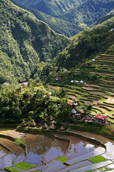 Ifugao village