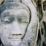 Ayuthaya buddhas head banyan tree — Stock Photo #2977093 - depositphotos_2977093-Ayuthaya-buddhas-head-banyan-tree