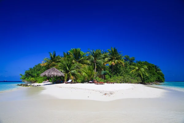 http://static4.depositphotos.com/1012096/281/i/450/dep_2819542-Tropical-Paradise-at-Maldives.jpg