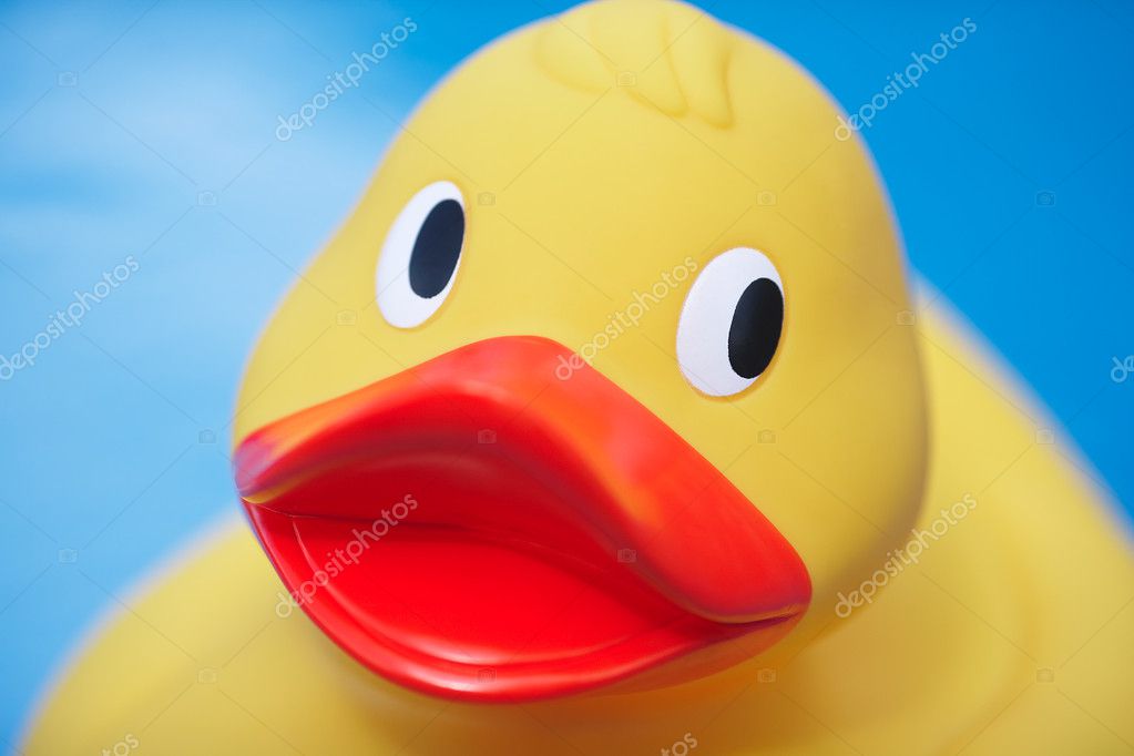 Cool Rubber Duckies