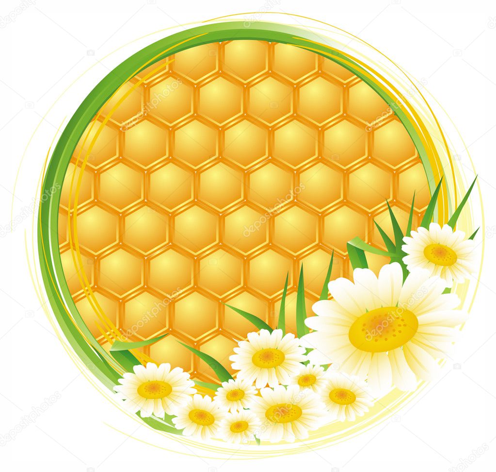 Honeycomb Flower