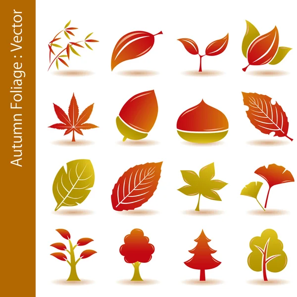 http://static4.depositphotos.com/1013388/365/v/450/dep_3651099-Autumn-foliage-leaf-icons-set.jpg