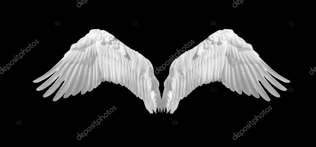 Angel Wings Extended