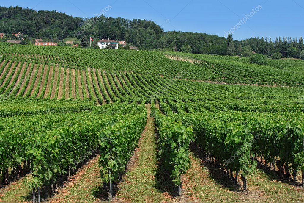 countryside in switzerland