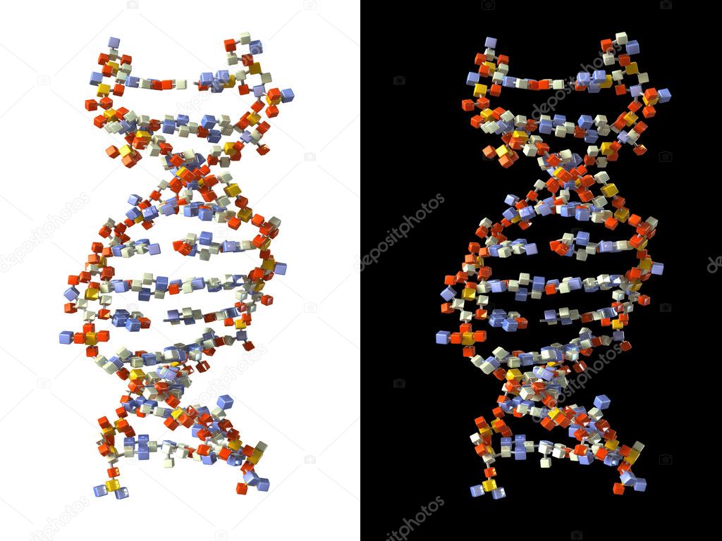 Dna Made Of