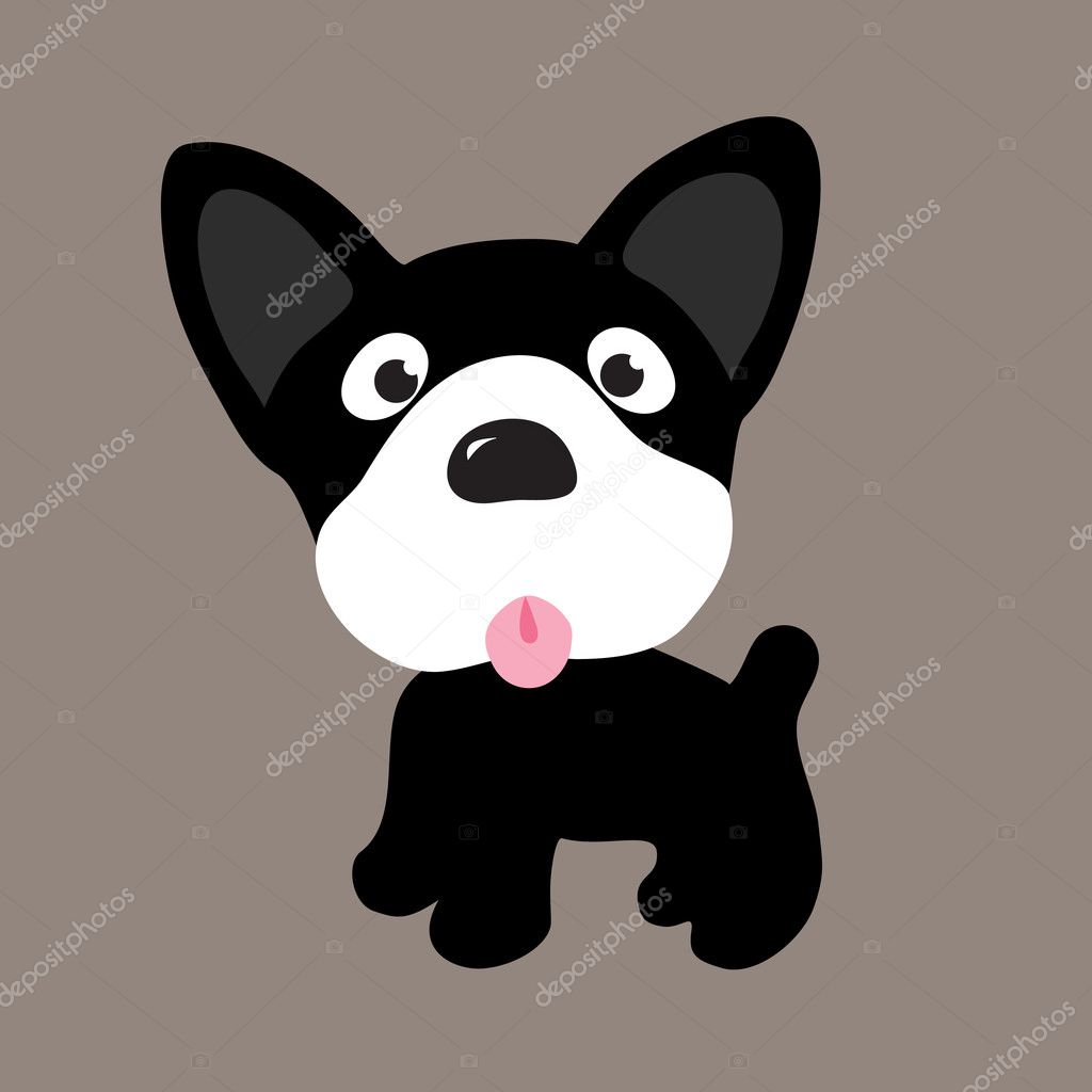 Boston Terrier Illustration