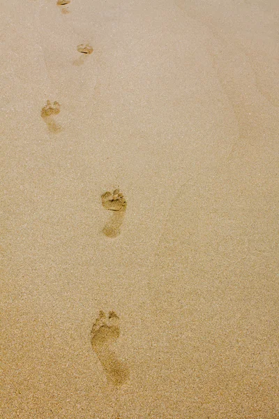 Feet traces